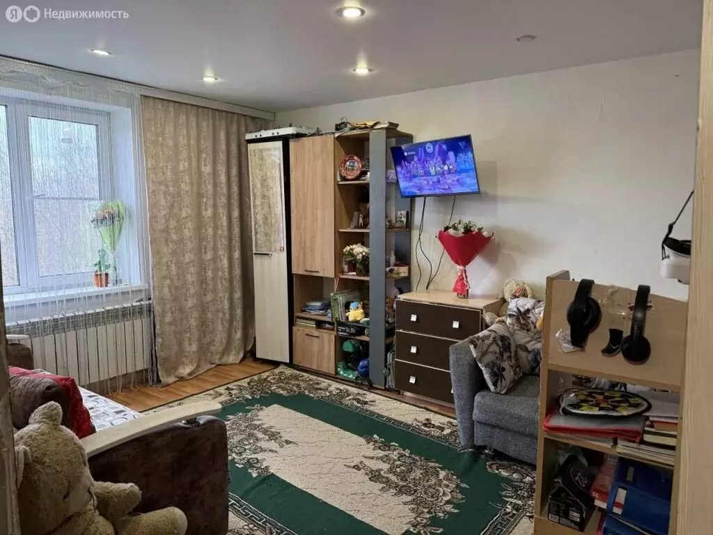 1-комнатная квартира: Заволжье, Волжская улица, 8 (26.8 м) - Фото 1