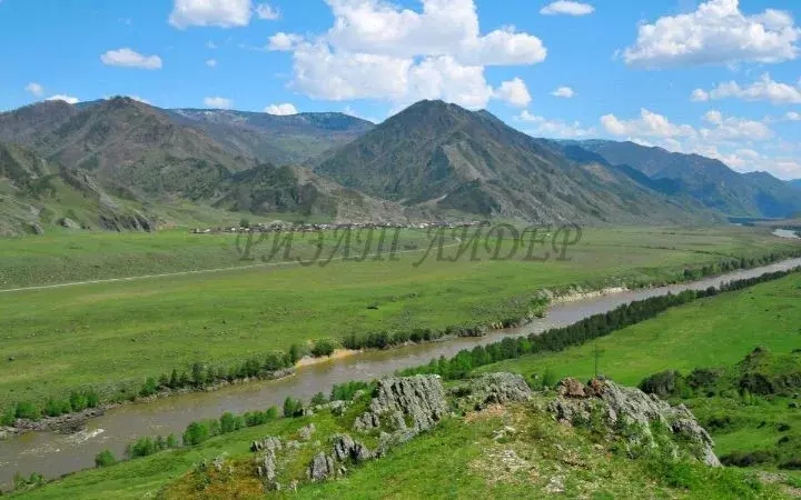Участок в Алтай, Чемальский район, с. Куюс Центральная ул. (12.0 сот.) - Фото 0