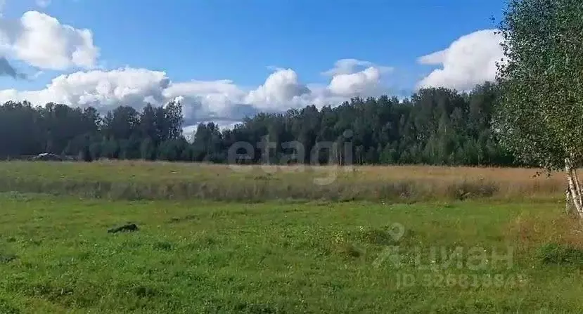 Участок в Томская область, Томский район, Зоркальцевское с/пос, с. ... - Фото 2