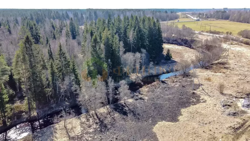 Участок в Ленинградская область, Всеволожский район, Романовское ... - Фото 0