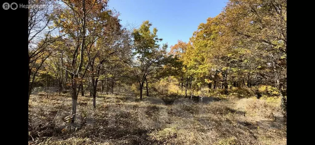 Участок в Артём, садовое некоммерческое товарищество Дубки (10 м) - Фото 0
