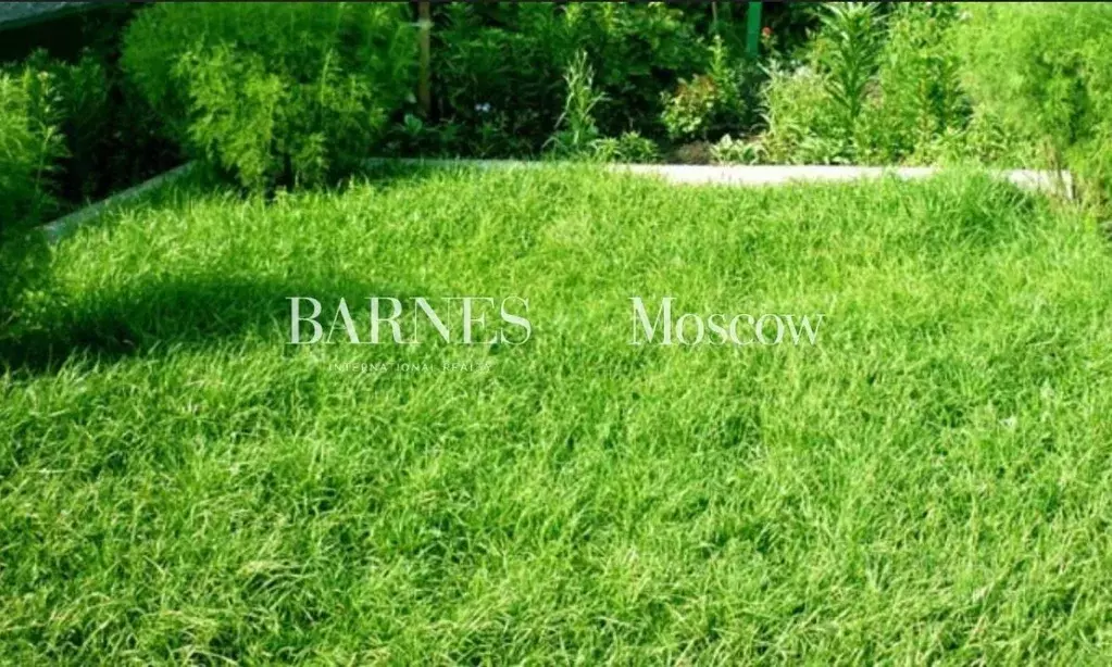 Участок в Московская область, Одинцовский городской округ, д. Бородки, ... - Фото 2