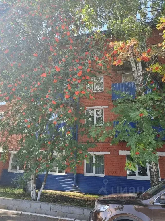 3-к кв. Иркутская область, Иркутск Култукская ул., 10 (60.0 м) - Фото 0