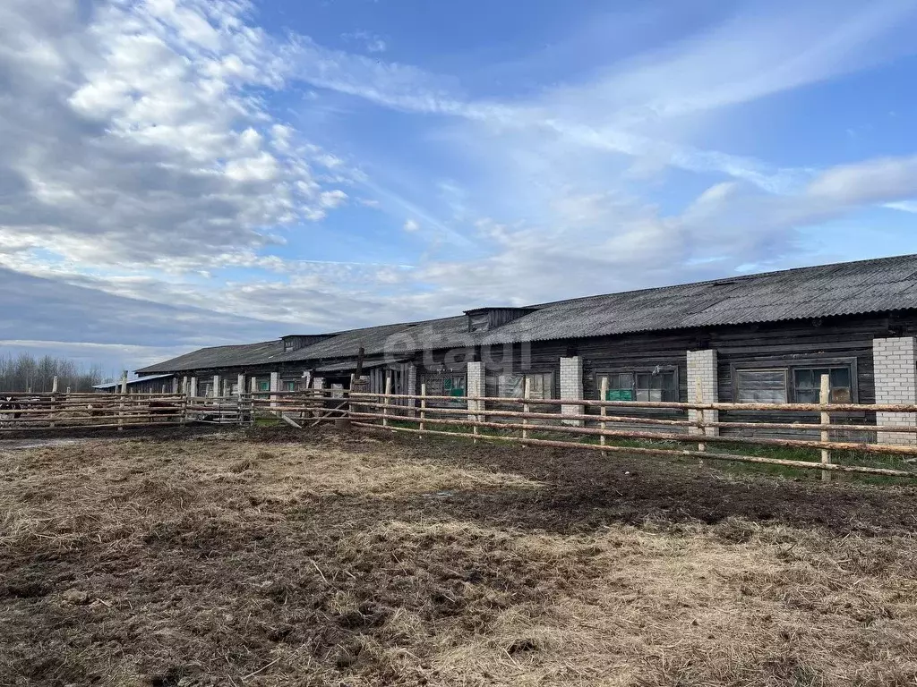 Склад в Архангельская область, Котласский муниципальный округ, д. ... - Фото 1