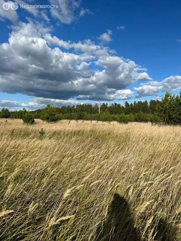 участок в поспеловское сельское поселение, посёлок луговой (10 м) - Фото 1