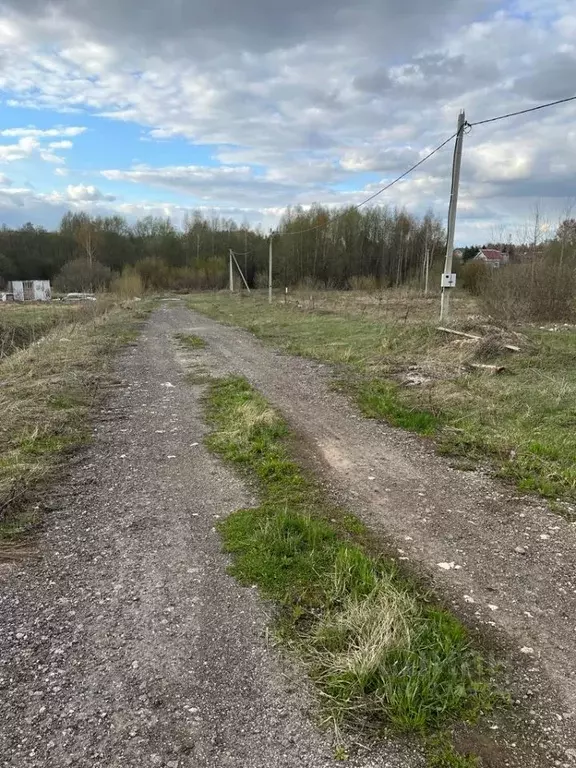 Доскино Нижегородская область. Доскино Богородский район. Деревня Доскино Борский район. Богородское поле между Доскино и Бурцево.