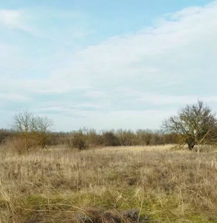 Участок в Краснодарский край, Темрюк ул. Лазурная (7.0 сот.) - Фото 2