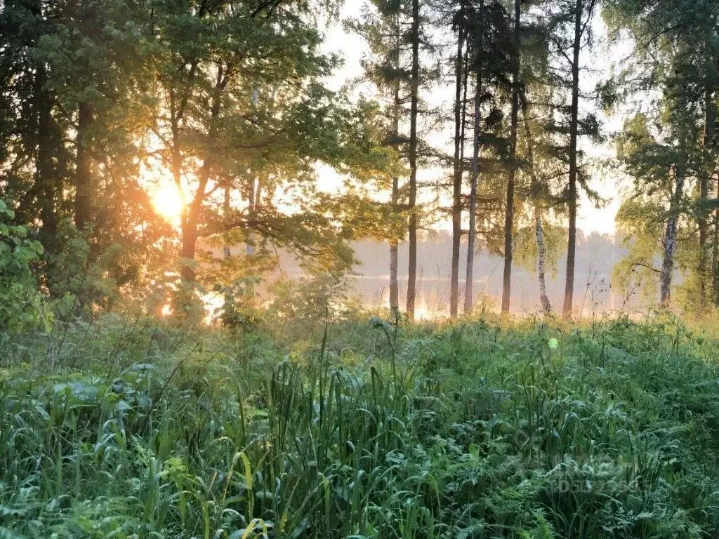 Участок в Московская область, Солнечногорск городской округ, д. ... - Фото 1