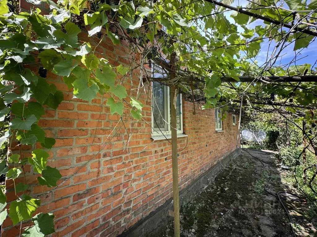 Дом в Краснодарский край, Белореченский район, Первомайское с/пос, ... - Фото 2