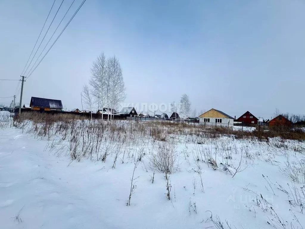 Участок в Новосибирская область, Новосибирский район, Толмачевский ... - Фото 1