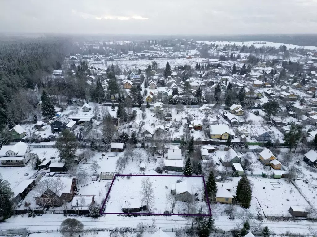 Участок в Ленинградская область, Всеволожский район, Лесколовское ... - Фото 1