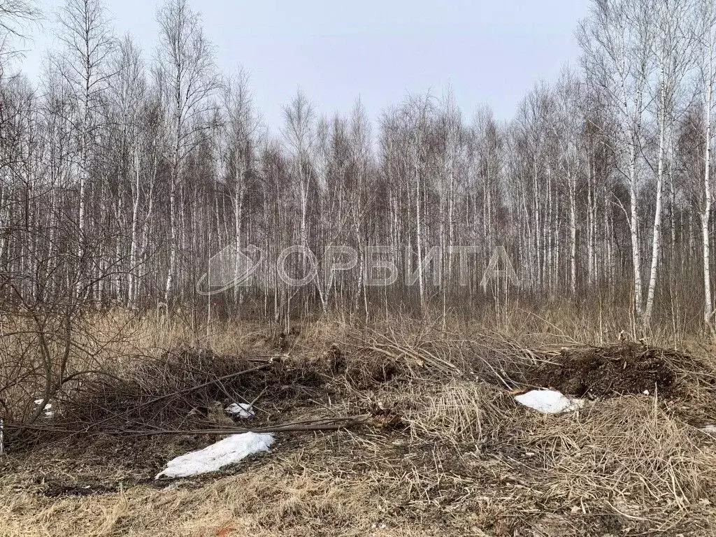 Участок в Тюменская область, Нижнетавдинский муниципальный округ, ... - Фото 1