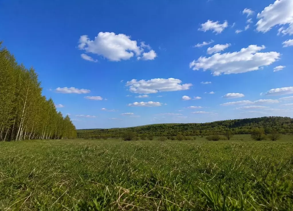 Участок в Московская область, Орехово-Зуевский городской округ, д. ... - Фото 1