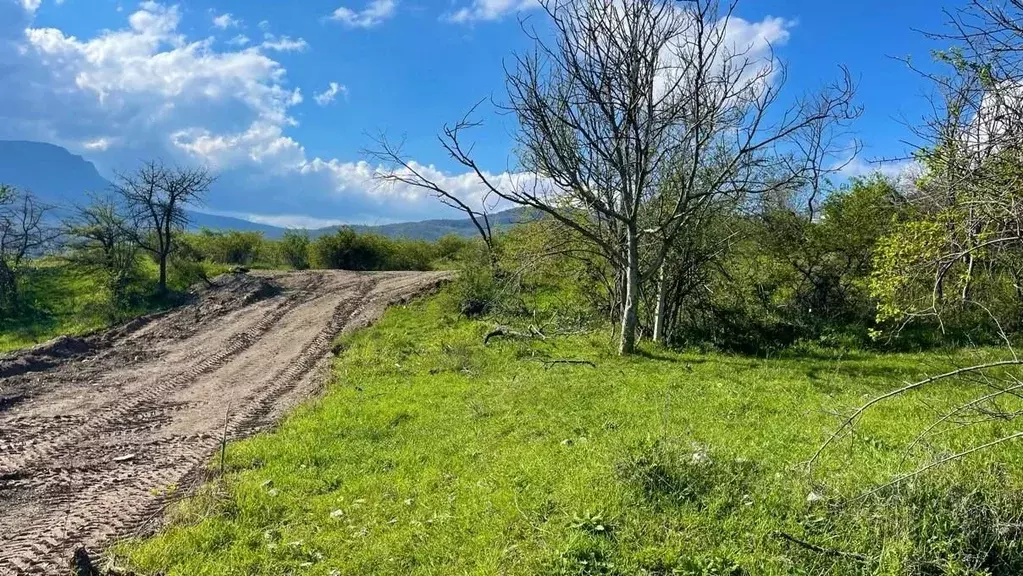 Участок в Крым, Алушта городской округ, с. Лучистое  (5.48 сот.) - Фото 0