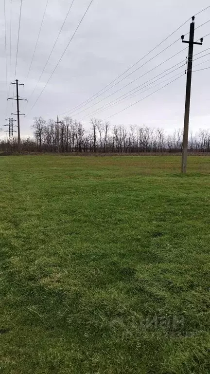 Участок в Краснодарский край, Анапа муниципальный округ, с. Джигинка ... - Фото 2