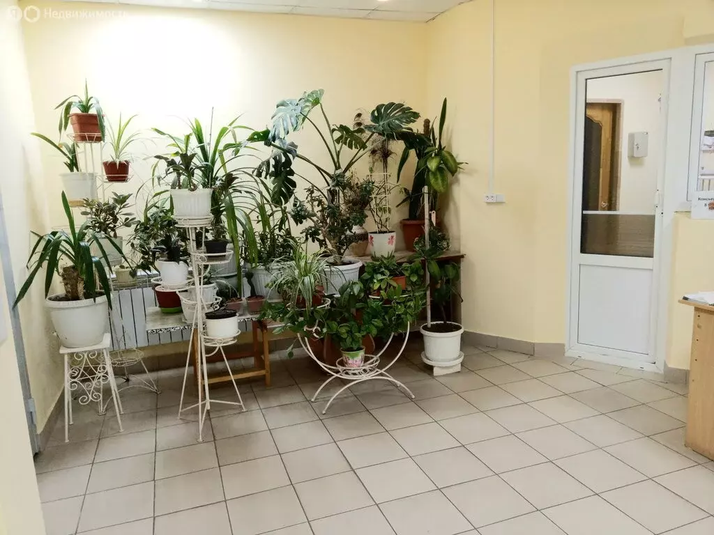 1-комнатная квартира: Ростов-на-Дону, Вятская улица, 37А (50 м) - Фото 0