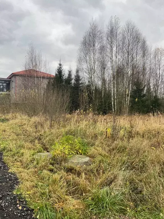 Участок в Москва № 182 кв-л, 28 (9.0 сот.) - Фото 1