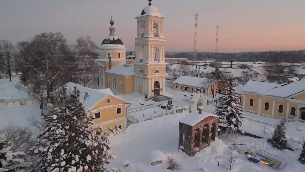 Участок в Московская область, Богородский городской округ, с. ... - Фото 1