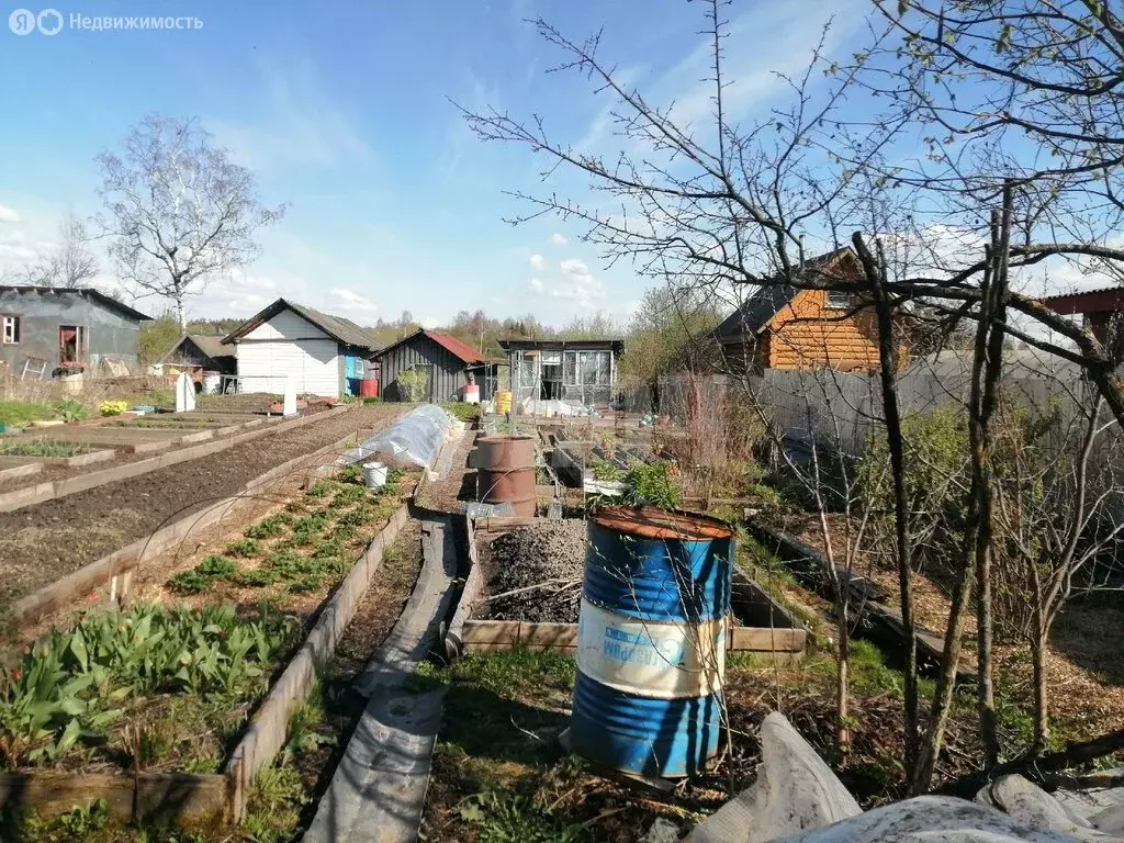 Дом в Сокол, 6-я Глушицкая улица (20 м) - Фото 1