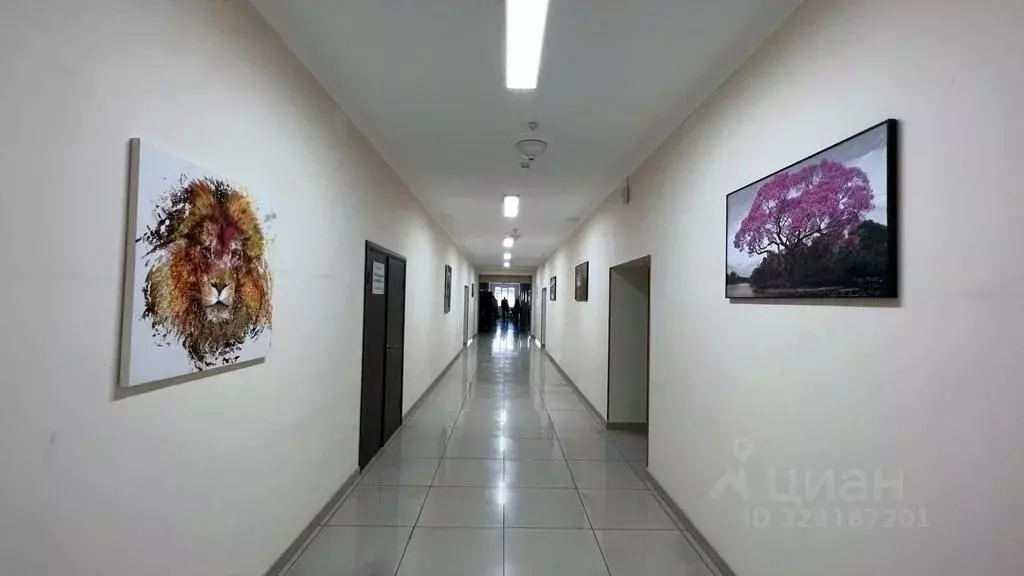 Офис в Краснодарский край, Сочи Пластунская ул., 47А (33 м) - Фото 2