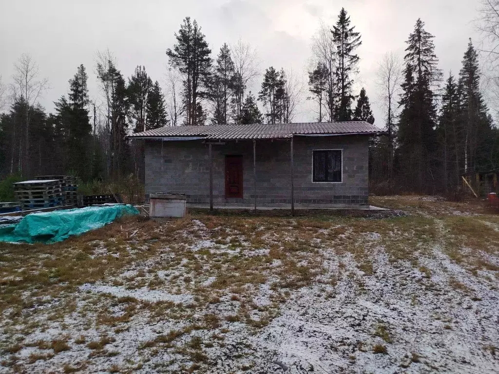 Дом в Карелия, Прионежский район, Шуйское с/пос, д. Бесовец, Лесная ... - Фото 2