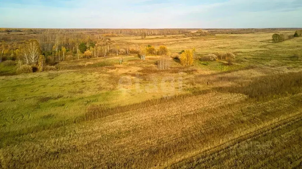 Участок в Тюменская область, Тюменский район, с. Салаирка  (12.0 сот.) - Фото 1