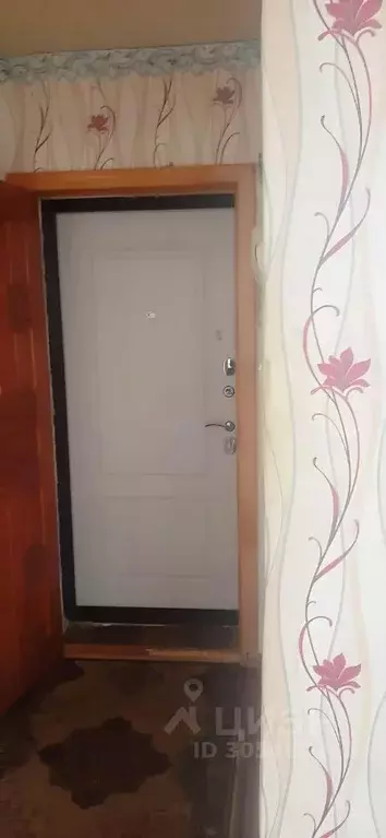 1-к кв. Брянская область, Клинцы ул. Рябка, 127 (32.1 м) - Фото 2