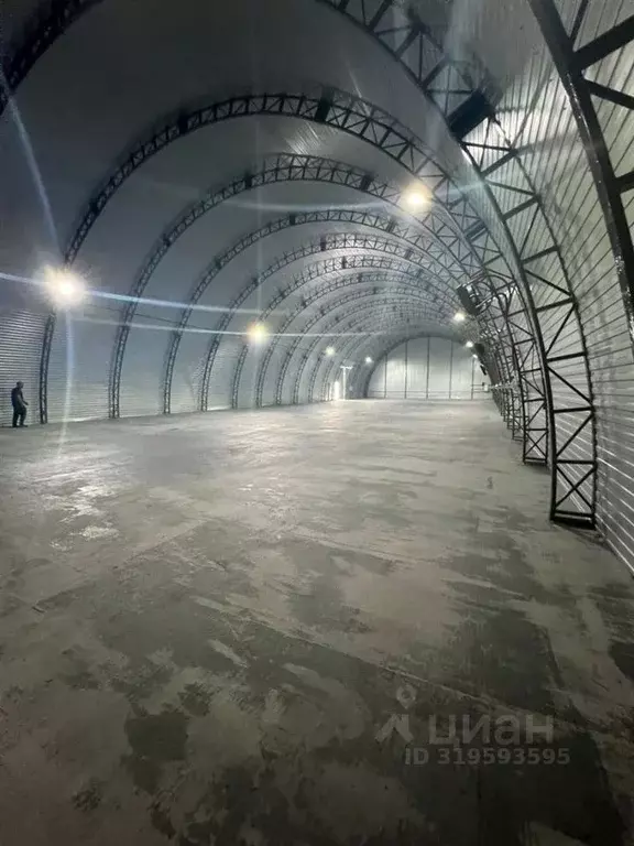 Склад в Московская область, Домодедово городской округ, д. Купчинино ... - Фото 1
