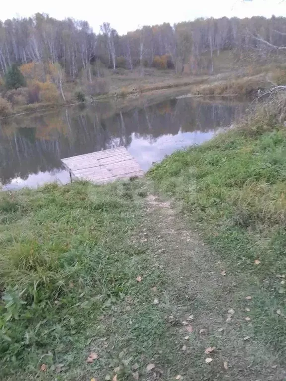 Участок в Новосибирская область, Новосибирский район, Барышевский ... - Фото 2