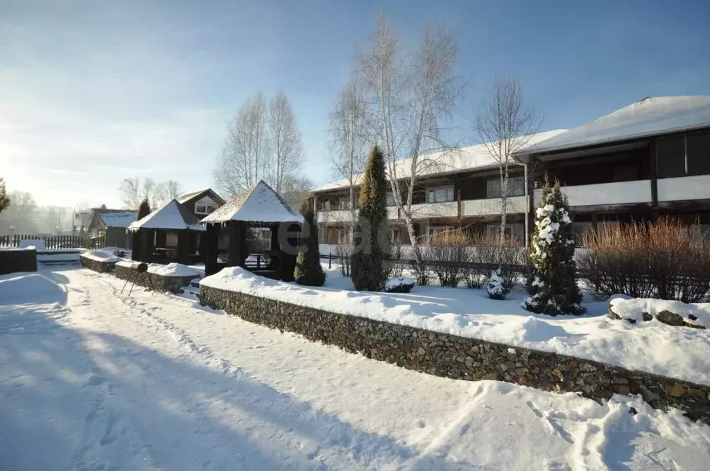 Помещение свободного назначения в Алтайский край, Алтайский район, ... - Фото 1