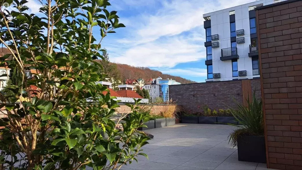 2-комнатная квартира: Сочи, Курортный проспект, 96Г (30 м) - Фото 1