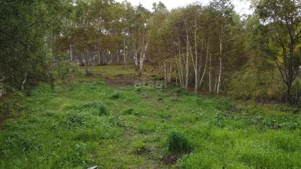 Участок в Камчатский край, Елизовский муниципальный округ, Солодок СНТ ... - Фото 1