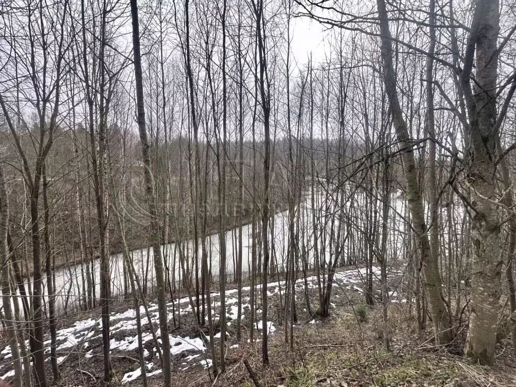 Участок в Ленинградская область, Всеволожский район, Токсовское ... - Фото 1