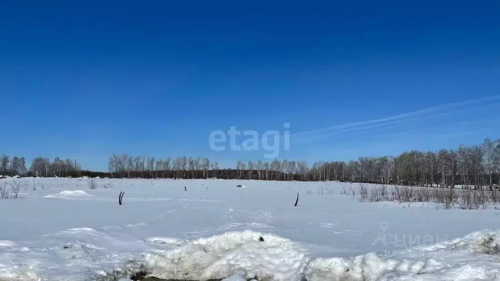 Участок в Пензенская область, с. Бессоновка  (13.4 сот.) - Фото 1