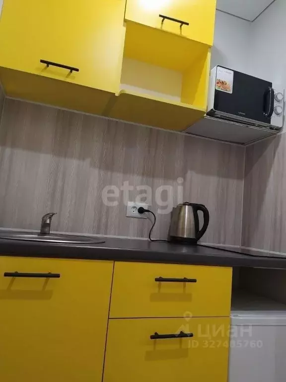 1-к кв. Тюменская область, Тюмень ул. 30 лет Победы, 115 (20.0 м) - Фото 2