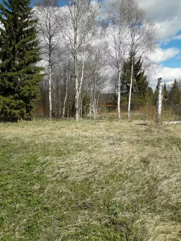 Участок в Московская область, Талдомский городской округ, д. Бурцево  ... - Фото 1