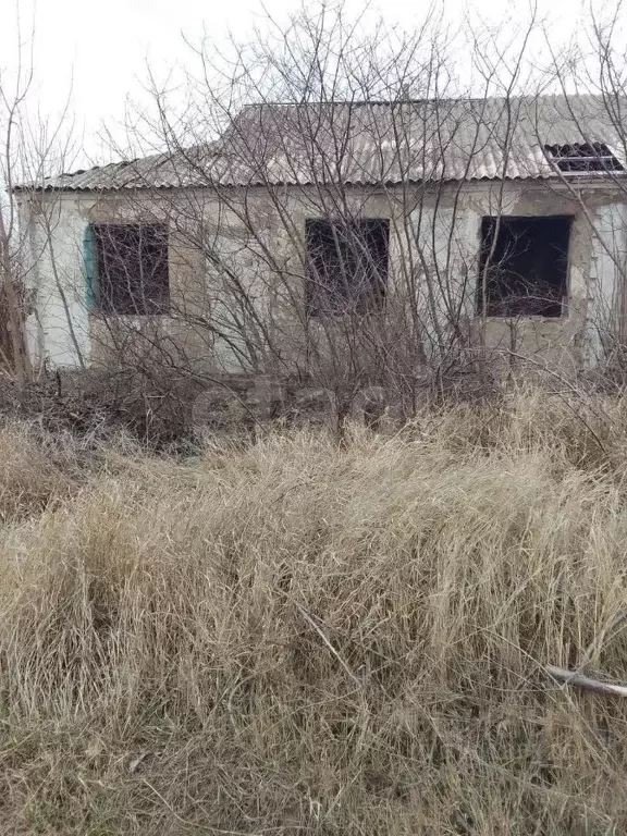 Участок в Ростовская область, Багаевский район, Ажиновское с/пос, ... - Фото 1