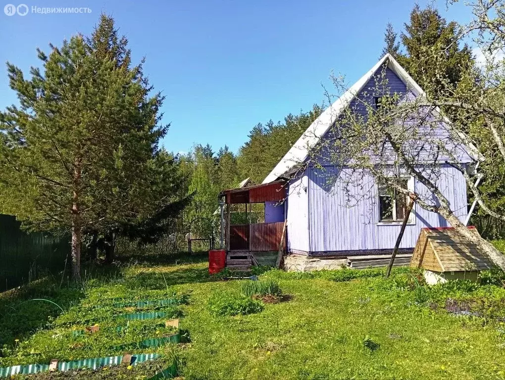 Дом в Мшинское сельское поселение, садоводческий массив Мшинская, ... - Фото 1