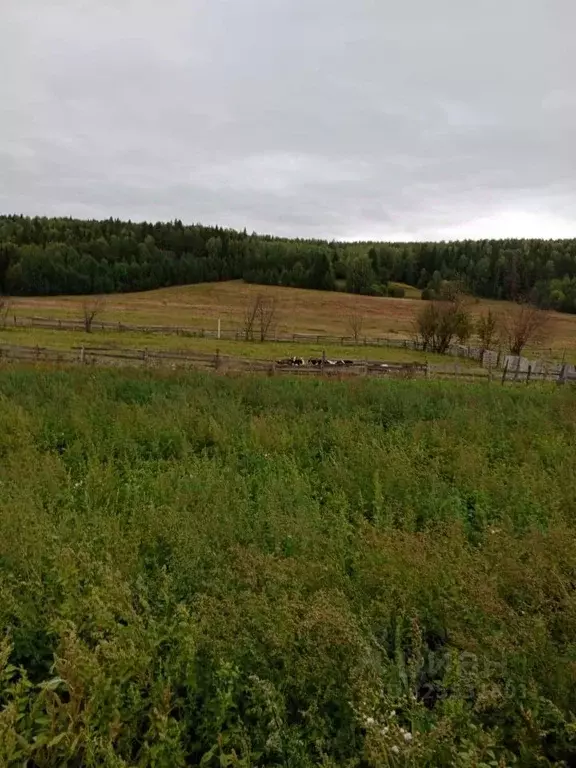 Дом в Пермский край, Кишертский район, д. Лазарята  (50 м) - Фото 2