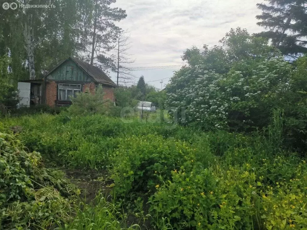 Дом в Омск, территория СОСН Станционник (18 м) - Фото 0