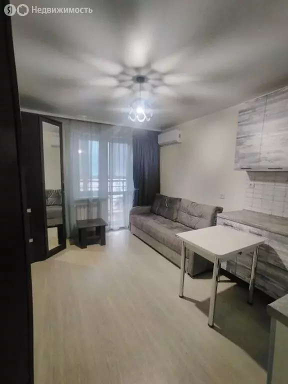 Квартира-студия: Оренбург, улица Поляничко, 3/1 (22.8 м) - Фото 2