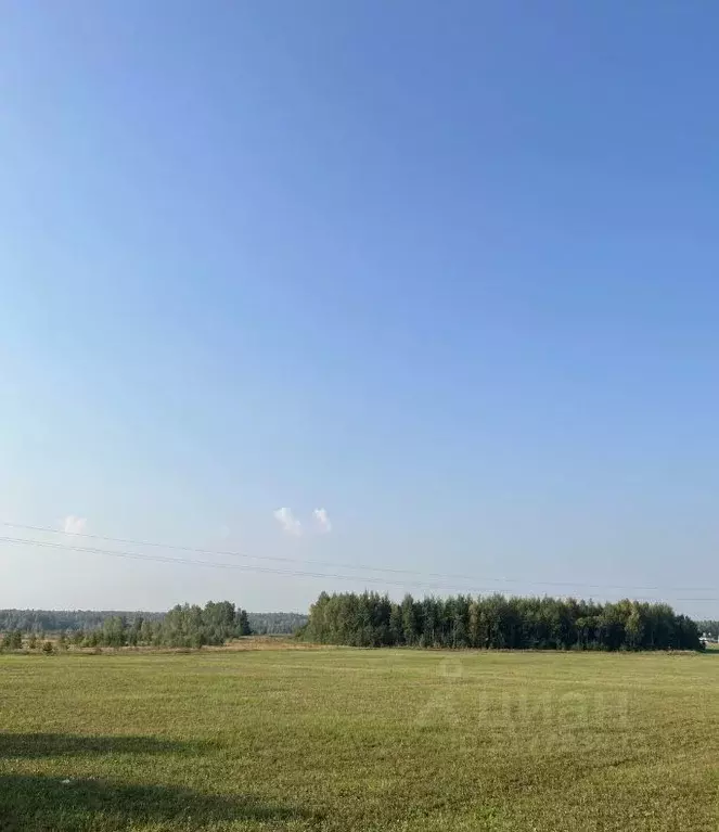 Участок в Ивановская область, Ивановский район, Беляницкое с/пос, д. ... - Фото 1