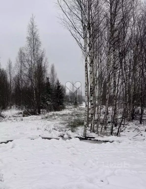 Участок в Ленинградская область, Всеволожск Всеволожский просп. (6.47 ... - Фото 2