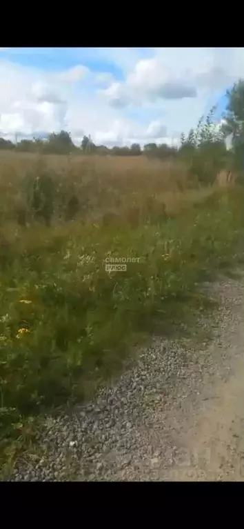 Участок в Тверская область, Калязин ул. Васильковая, 10 (10.0 сот.) - Фото 2