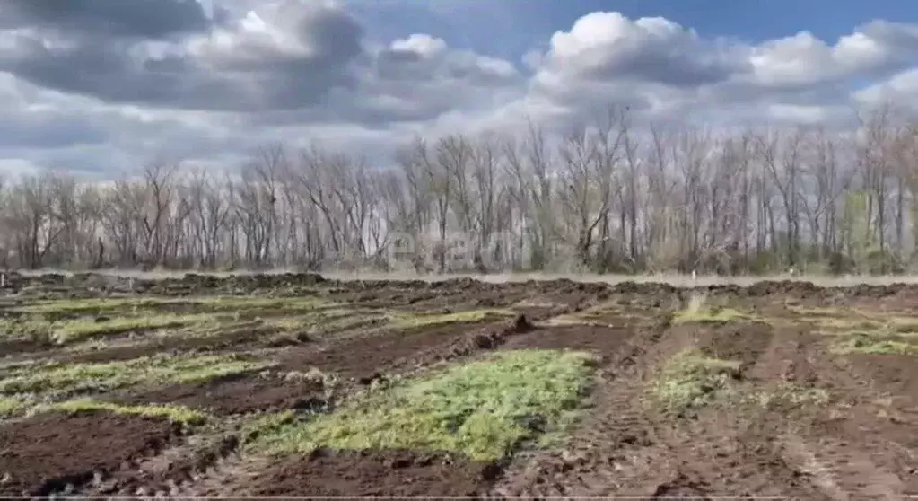 Участок в Оренбургская область, Оренбургский район, с. Благословенка ... - Фото 0