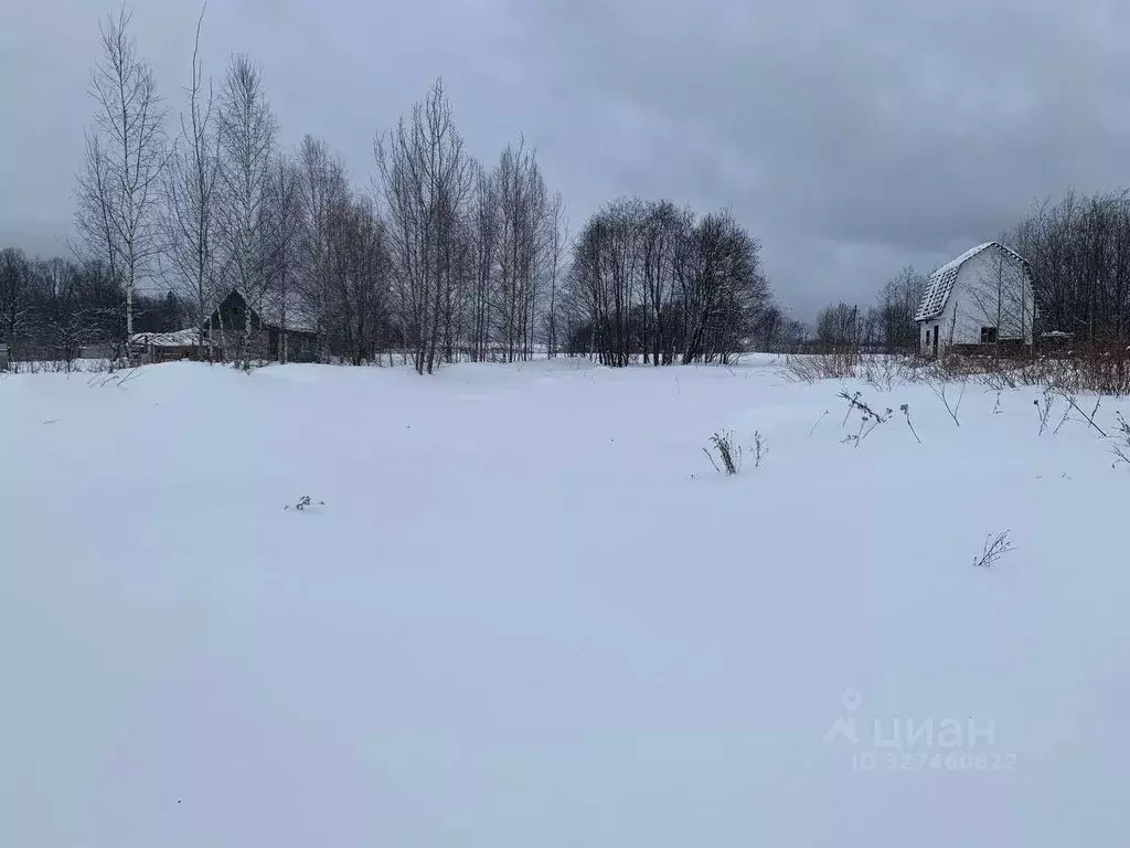 Участок в Московская область, Пушкинский городской округ, д. Цернское  ... - Фото 1