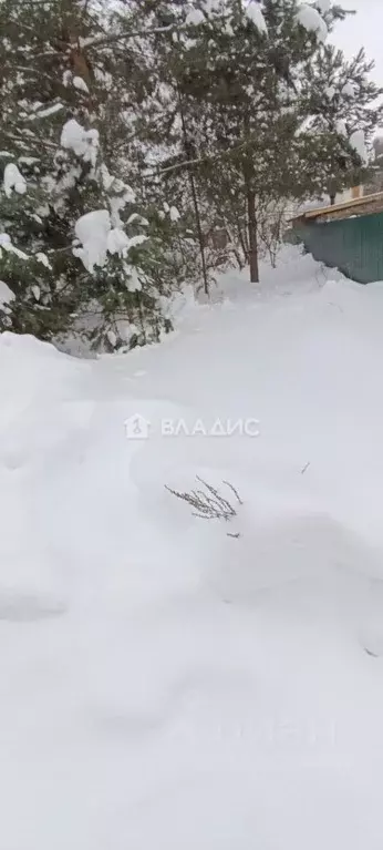Участок в Владимирская область, Владимир Колос садовое товарищество, ... - Фото 2