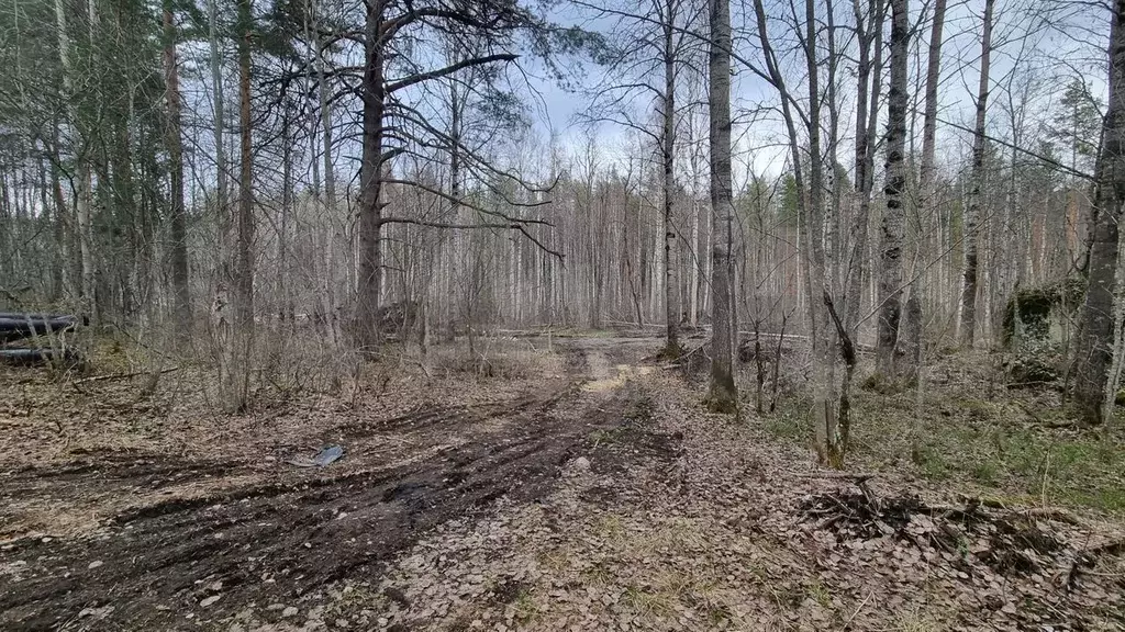 Участок 8,4 сот. (ИЖС) - Фото 1