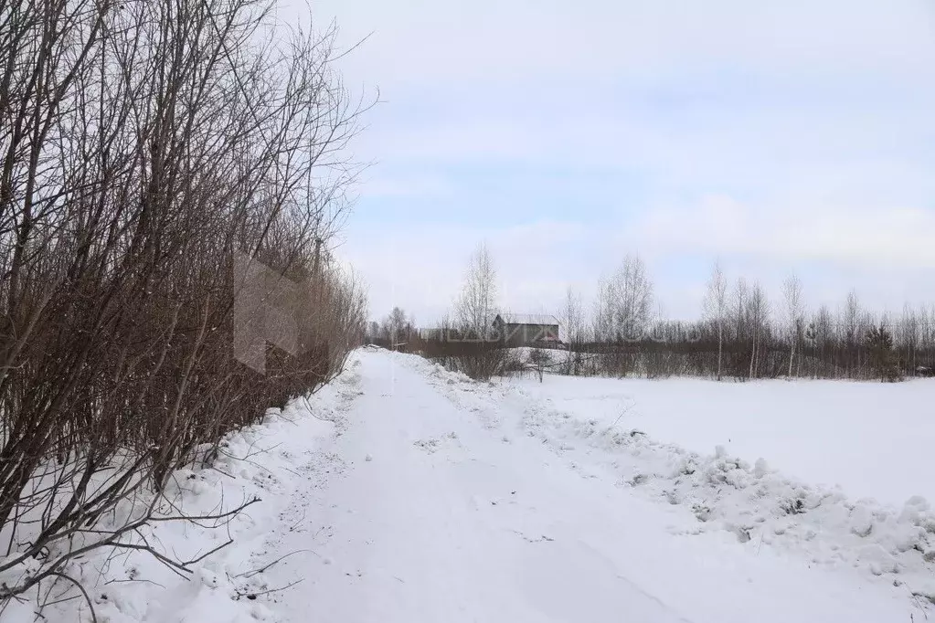 Участок в Тюменская область, Тюмень 4-й Салаирского тракта км, 231 ... - Фото 1