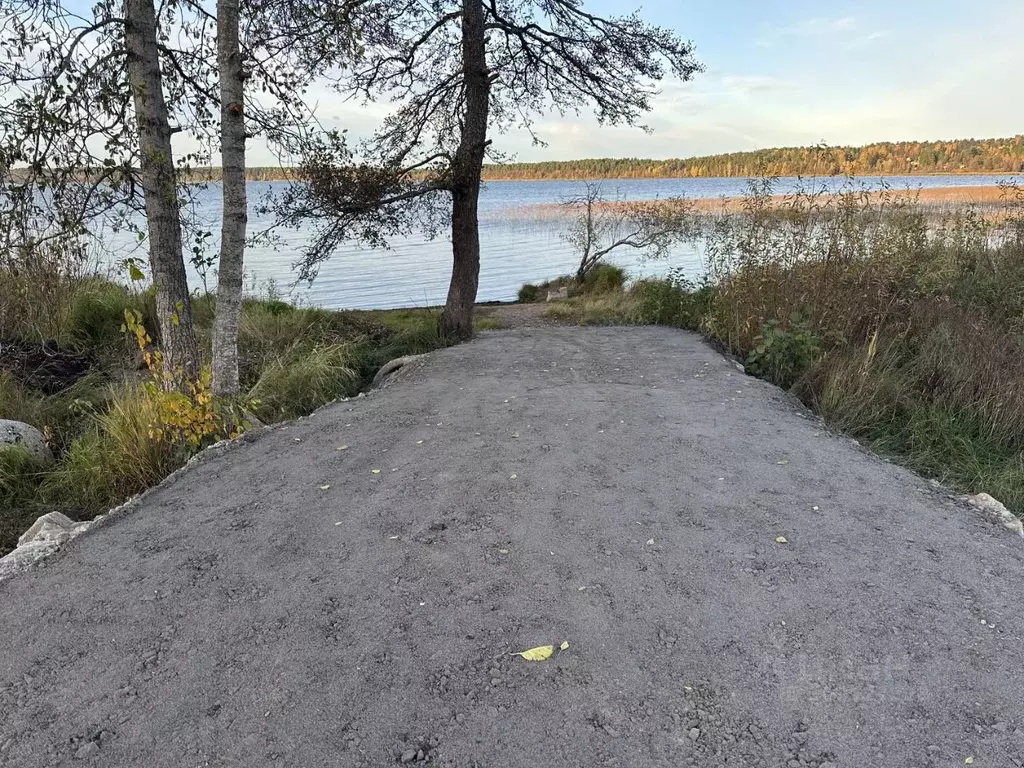 Участок в Ленинградская область, Всеволожский район, Куйвозовское ... - Фото 1